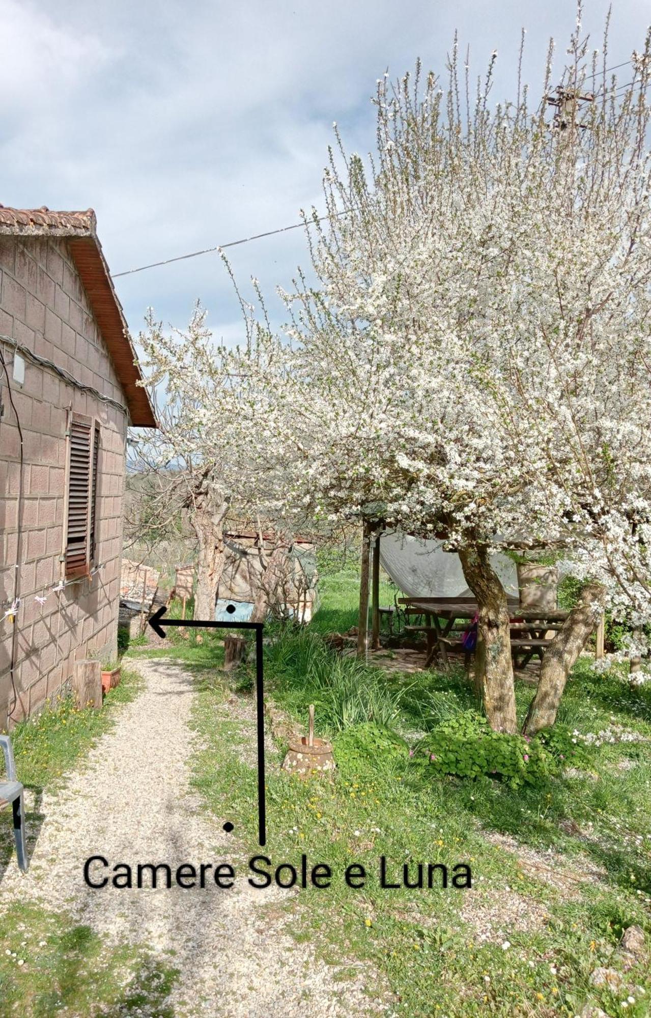 Affittacamere La Casella Monteriggioni Exterior photo